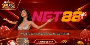 Vài điều cần biết về nhà cái tài xỉu NET88