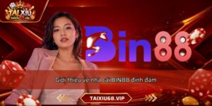 Giới thiệu về nhà cái BIN88 đình đám