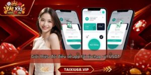 Giới thiệu đôi điều về app tài xỉu nạp rút USDT
