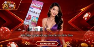 Đôi điều cơ bản về app live tài xỉu đình đám