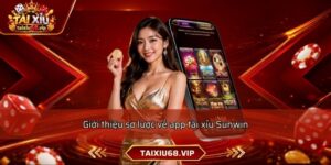Giới thiệu sơ lược về app tài xỉu Sunwin