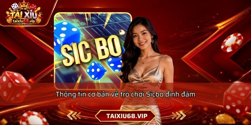Thông tin cơ bản về trò chơi Sicbo đình đám Thông tin cơ bản về trò chơi Sicbo đình đám