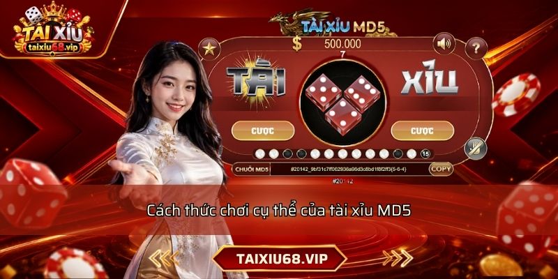 Cách thức chơi cụ thể của tài xỉu MD5