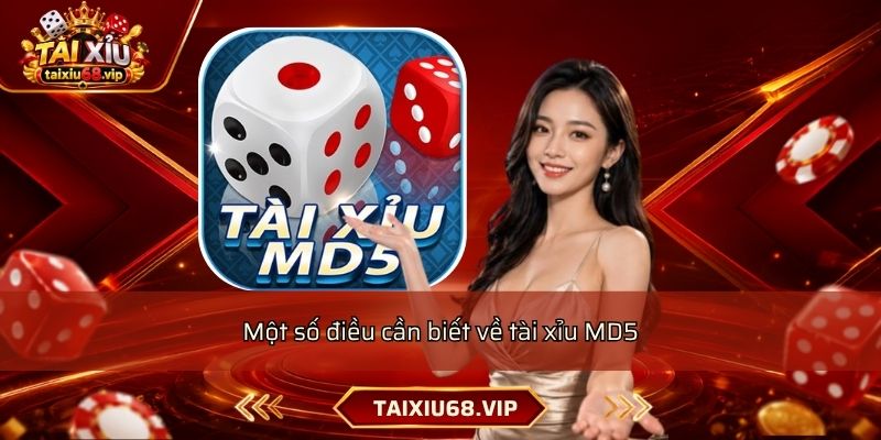 Một số điều cần biết về tài xỉu MD5