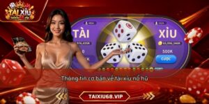 Thông tin cơ bản về tài xỉu nổ hũ